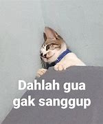 Meme Kucing Nyanyi